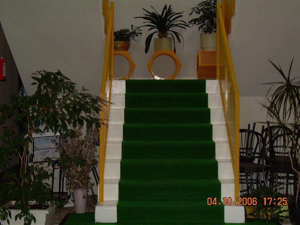Hotel Le Chavanon Merlines Buitenkant foto